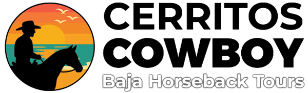 Cerritos Cowboy - Baja Horseback Tours / Cerritos Beach, Baja California Sur México.