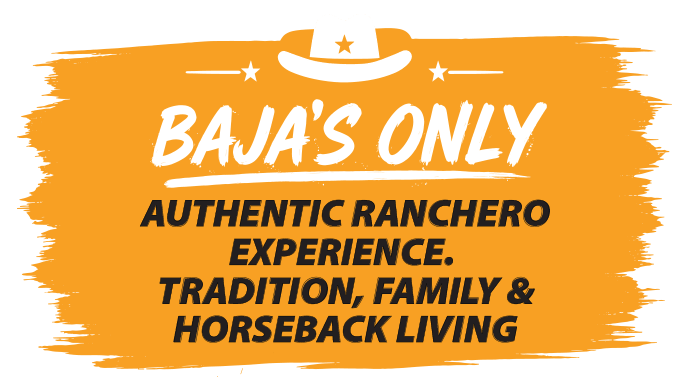 Baja´s Only / Authentic Ranchero Experience. / Cerritos Cowboy - Baja Horseback Tours / Cerritos Beach, Baja California Sur México.