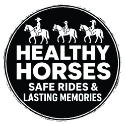 Healthy Horse / Cerritos Cowboy - Baja Horseback Tours / Cerritos Beach, Baja California Sur México.