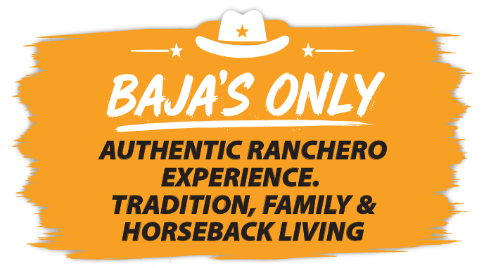 Baja´s Only / Authentic Ranchero Experience. / Cerritos Cowboy - Baja Horseback Tours / Cerritos Beach, Baja California Sur México.