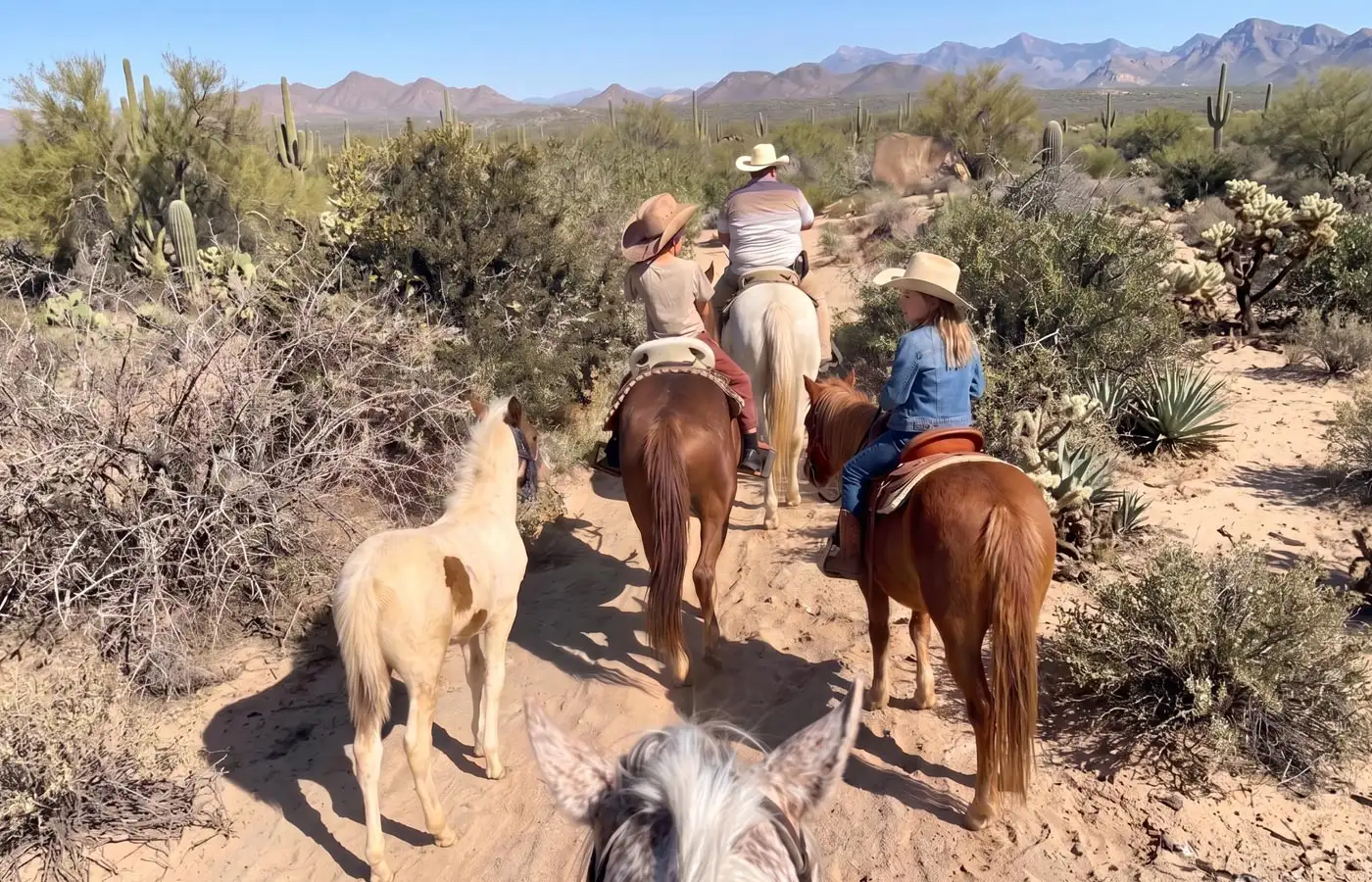 Short Ride Horseback Tour
