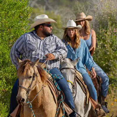 Beach and Nature Reserve horseback tour