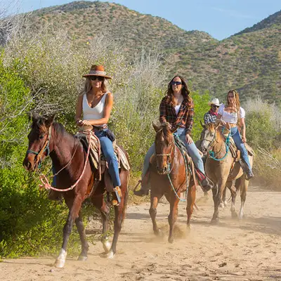 Beach and Nature Reserve horseback tour