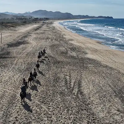 Beach and Nature Reserve horseback tour