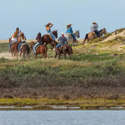 Beach and Nature Reserve horseback tour