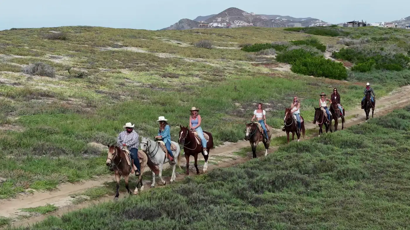 Beach and Nature Reserve horseback tour in Cerritos Beach