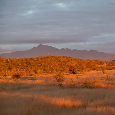 Full Day horseback adventure