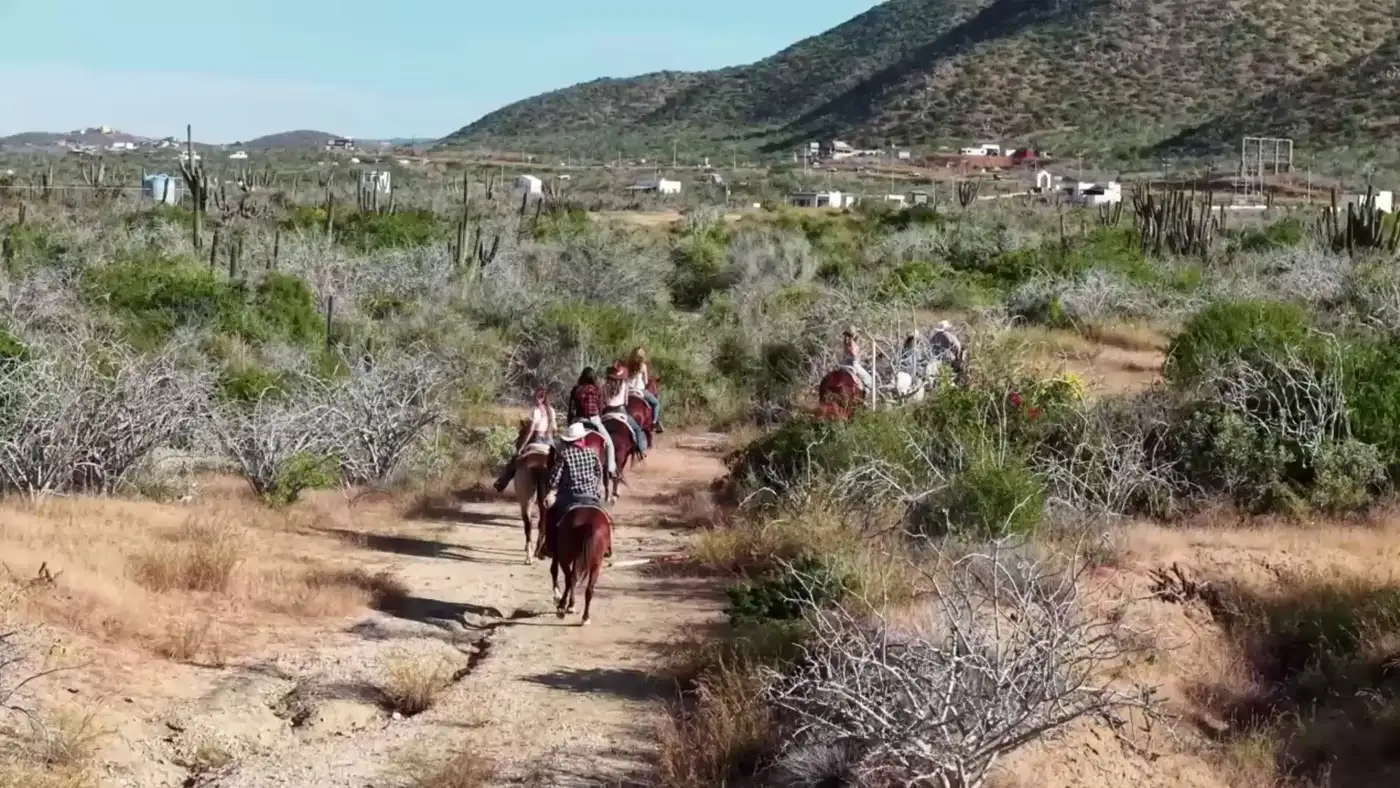 Full Day horseback adventure in Baja California Sur