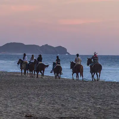 Half Day horseback tour