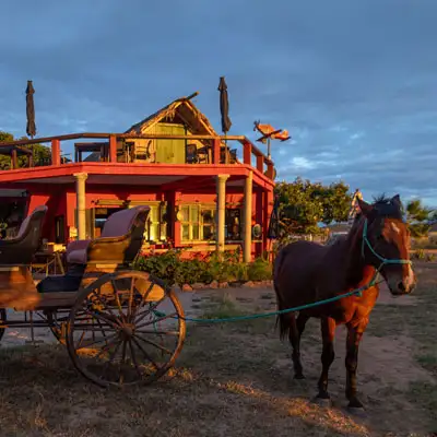 Full Day horseback adventure