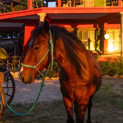 Full Day horseback adventure